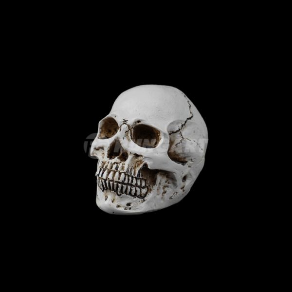 skull-small